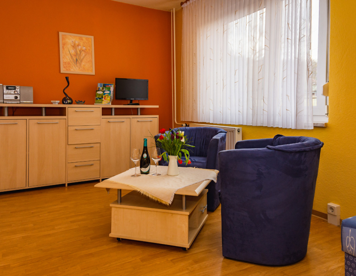 G-Whg Moritzburger Str. 98a – links - mediterrane Farbgebung im Raum, Sessel und Regalwand