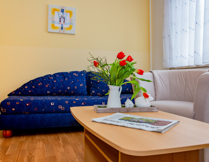 Gästewohnung Radebeuler Str. 6b - Dunkelblaue Couch mit Clubtisch und Blumen