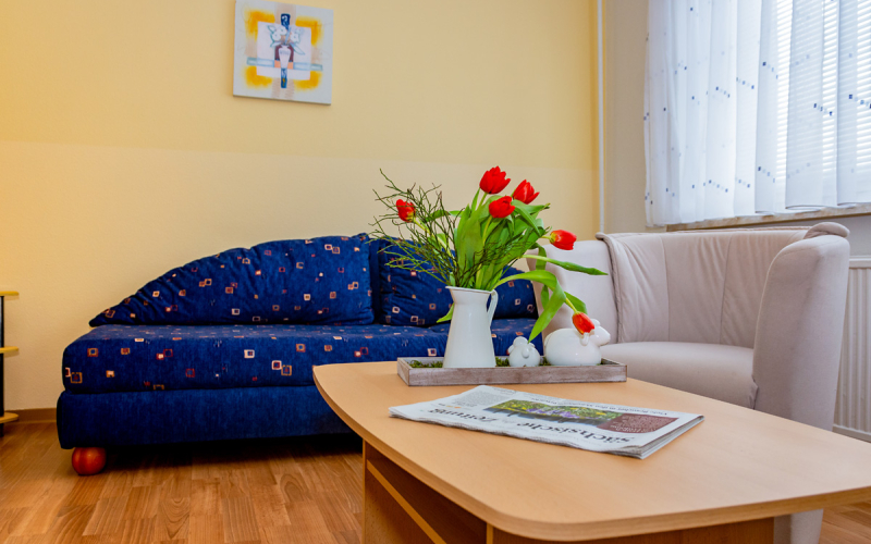 Gästewohnung Radebeuler Str. 6b - Dunkelblaue Couch mit Clubtisch und Blumen
