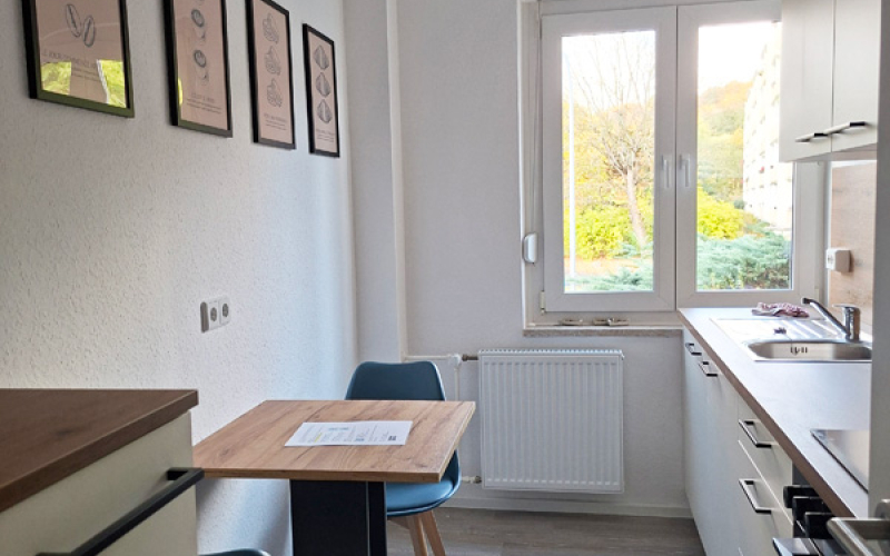 Renovierung Gästewohnung Moritzburger Straße 98 a