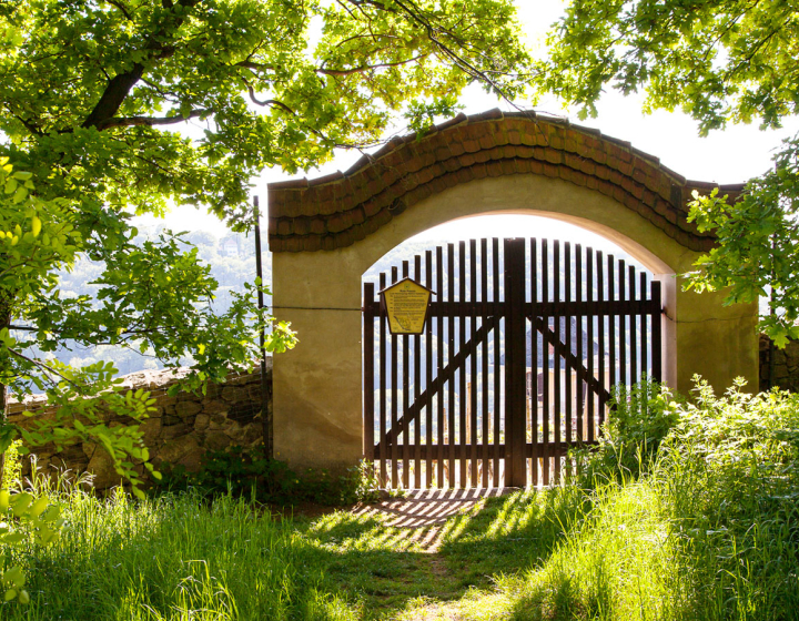 Bild WBV Coswig