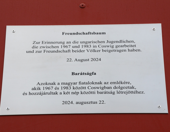 Bild WBV Coswig