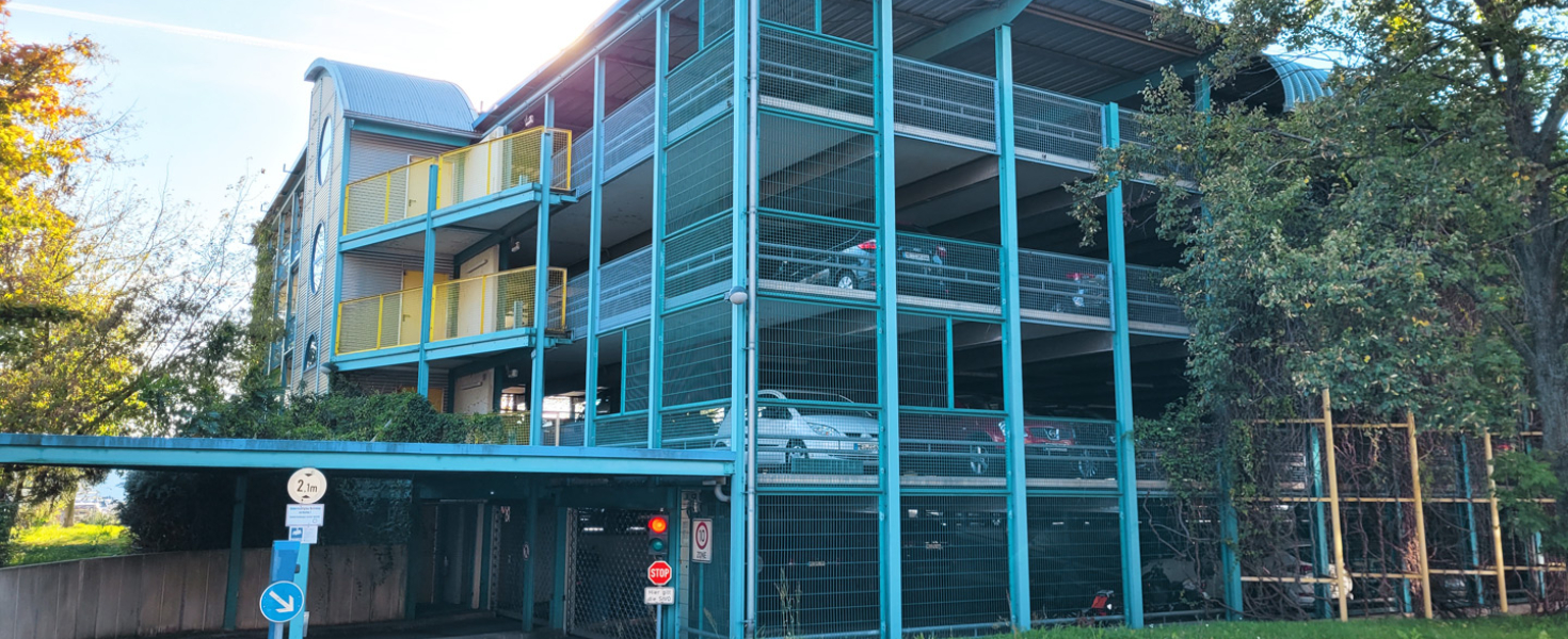 Bild WBV Coswig