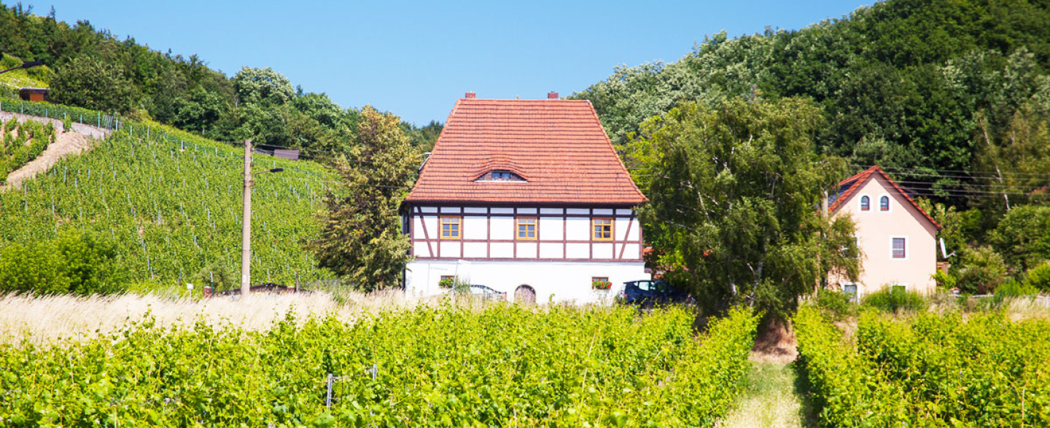 Bild WBV Coswig