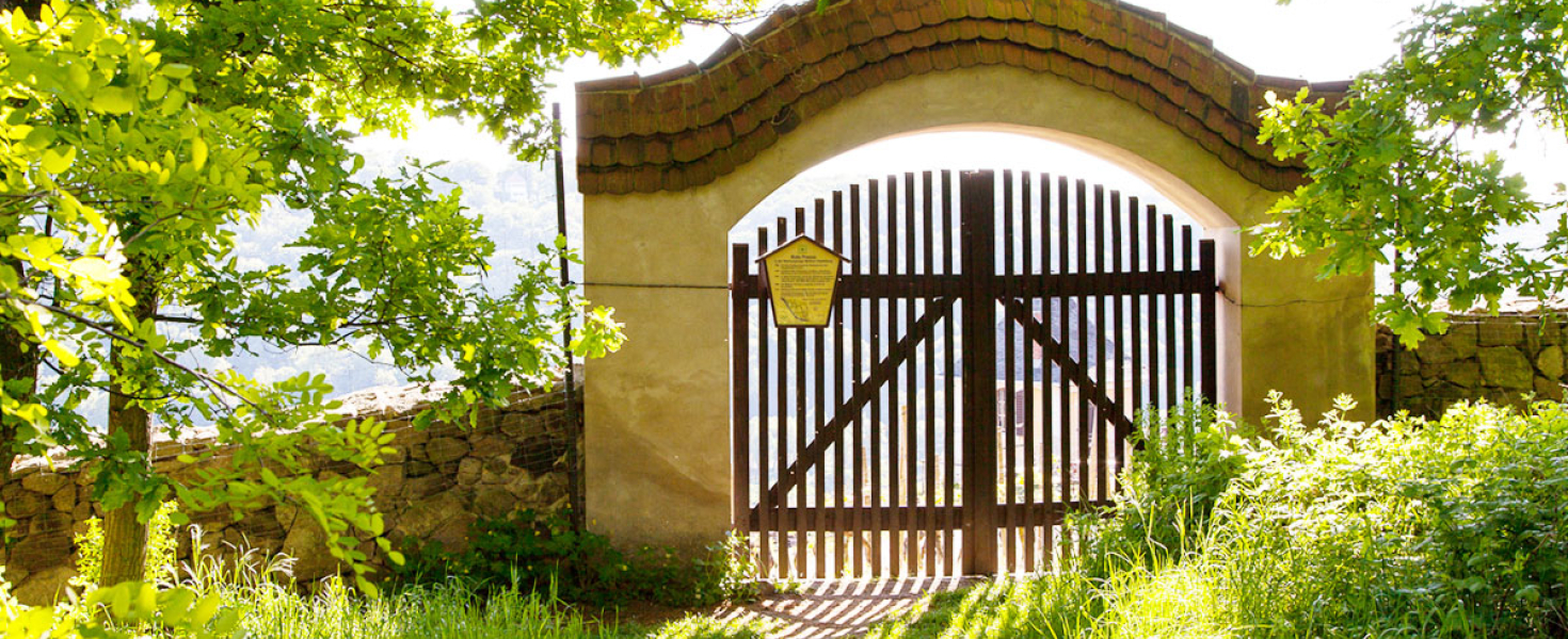 Weinberg mit alten Steintorbogen und Mauer.